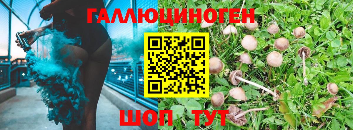 Галлюциногенные грибы GOLDEN TEACHER Учалы