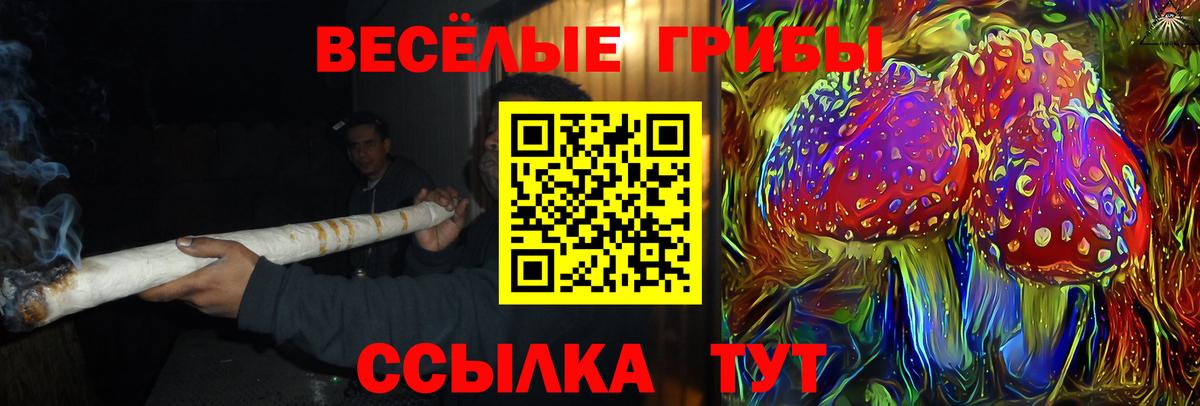 Псилоцибиновые грибы Psilocybe  Галлюциногенные грибы GOLDEN TEACHER  Вход с VPN  Учалы 